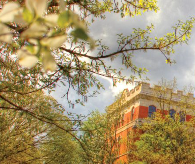 Unmasking the nexus of race, ethnicity, and health: An intersectional analysis of the epistemology of race in medicine, medical curricula, and health disparities